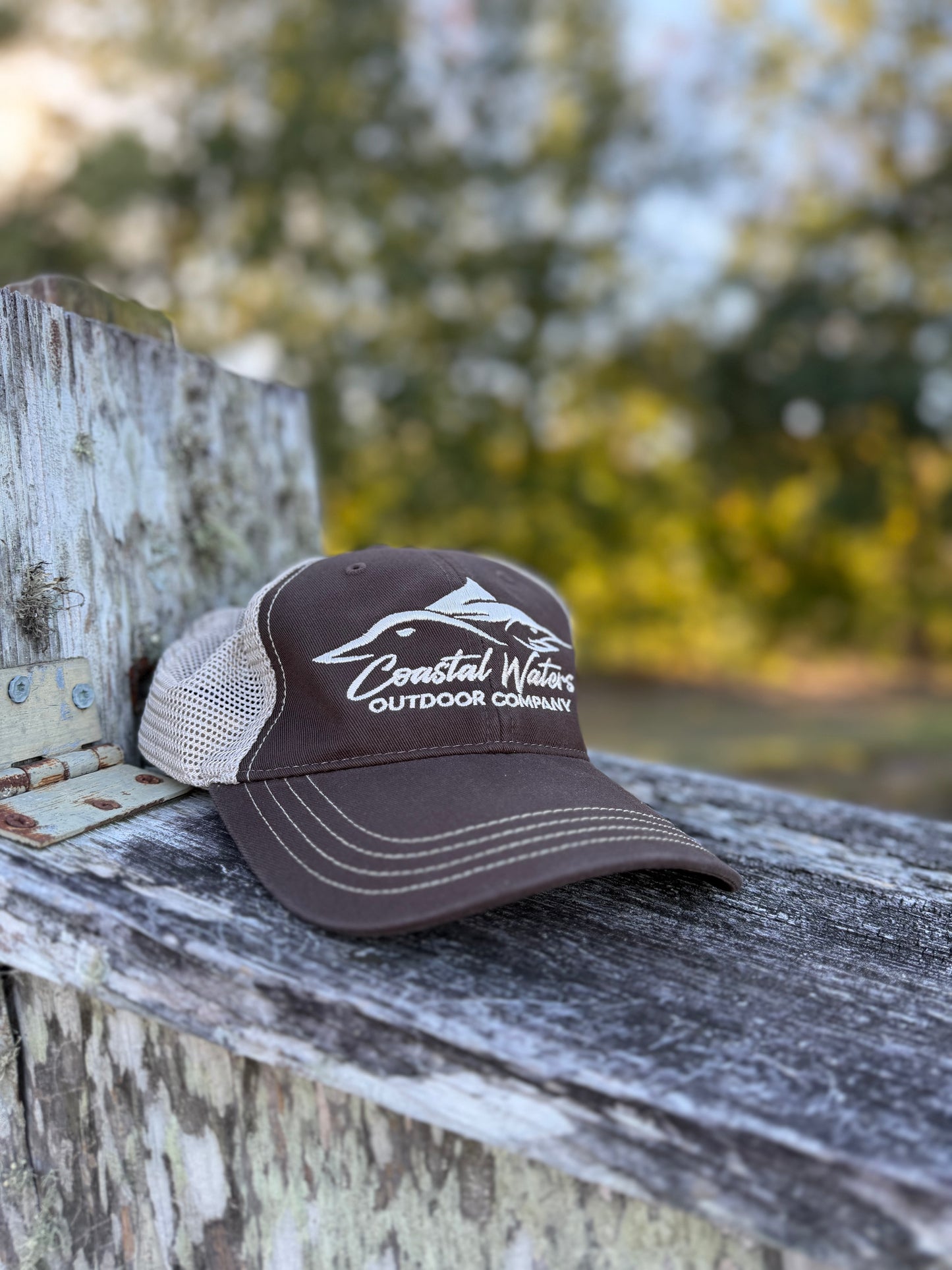 Logo Dad Hat | Brown/ Khaki