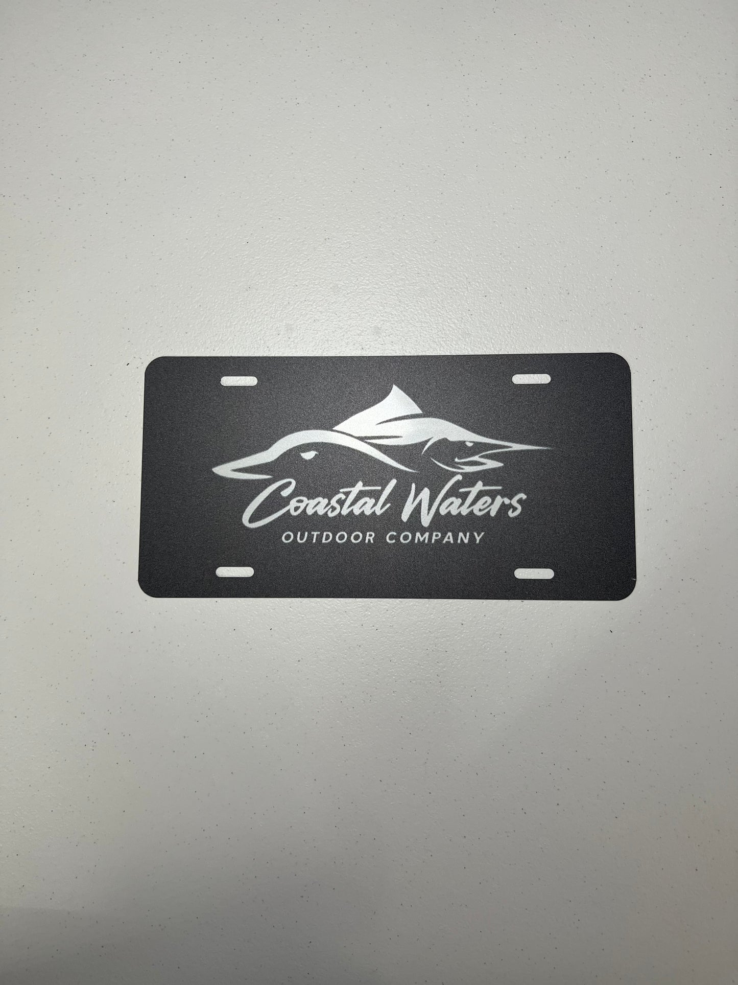 Logo License Plate
